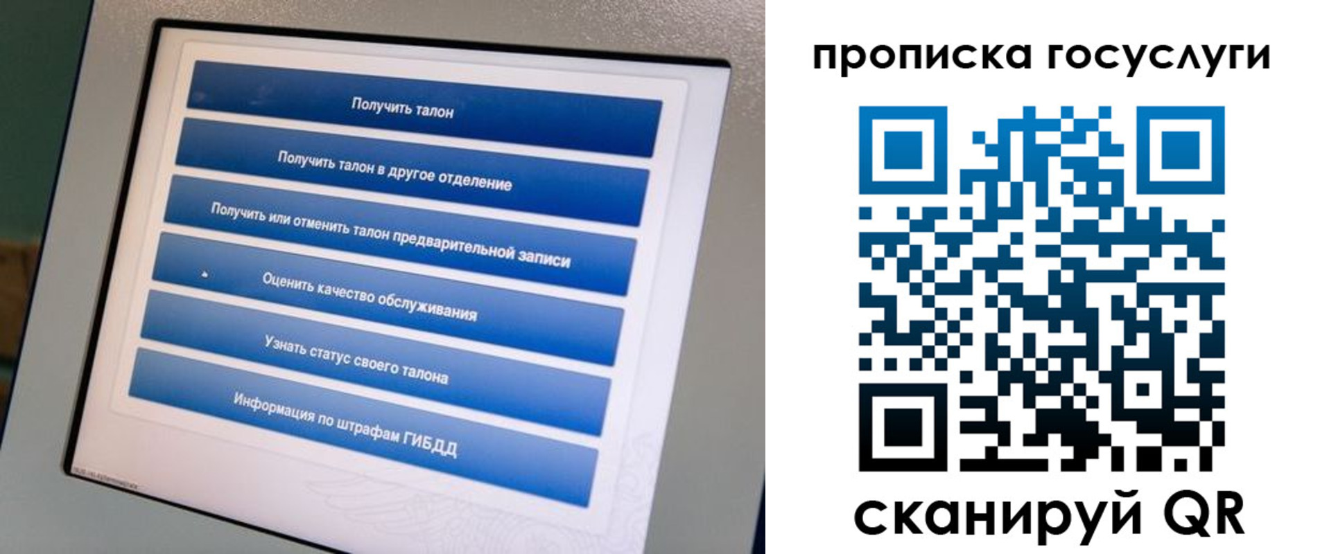 прописка гарантия в Туле